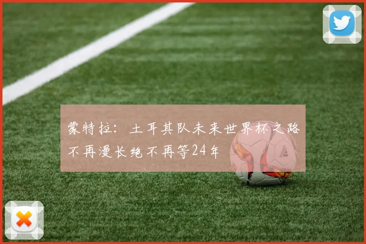 蒙特拉：土耳其队未来世界杯之路不再漫长绝不再等24年