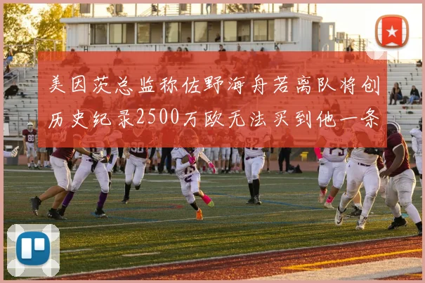 美因茨总监称佐野海舟若离队将创历史纪录2500万欧无法买到他一条腿